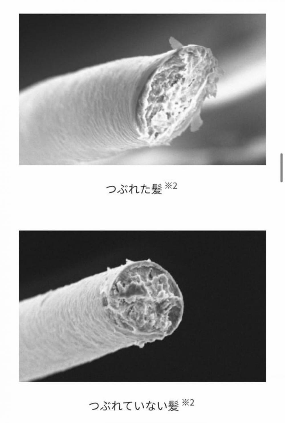 低反発コートで優しく包み込む