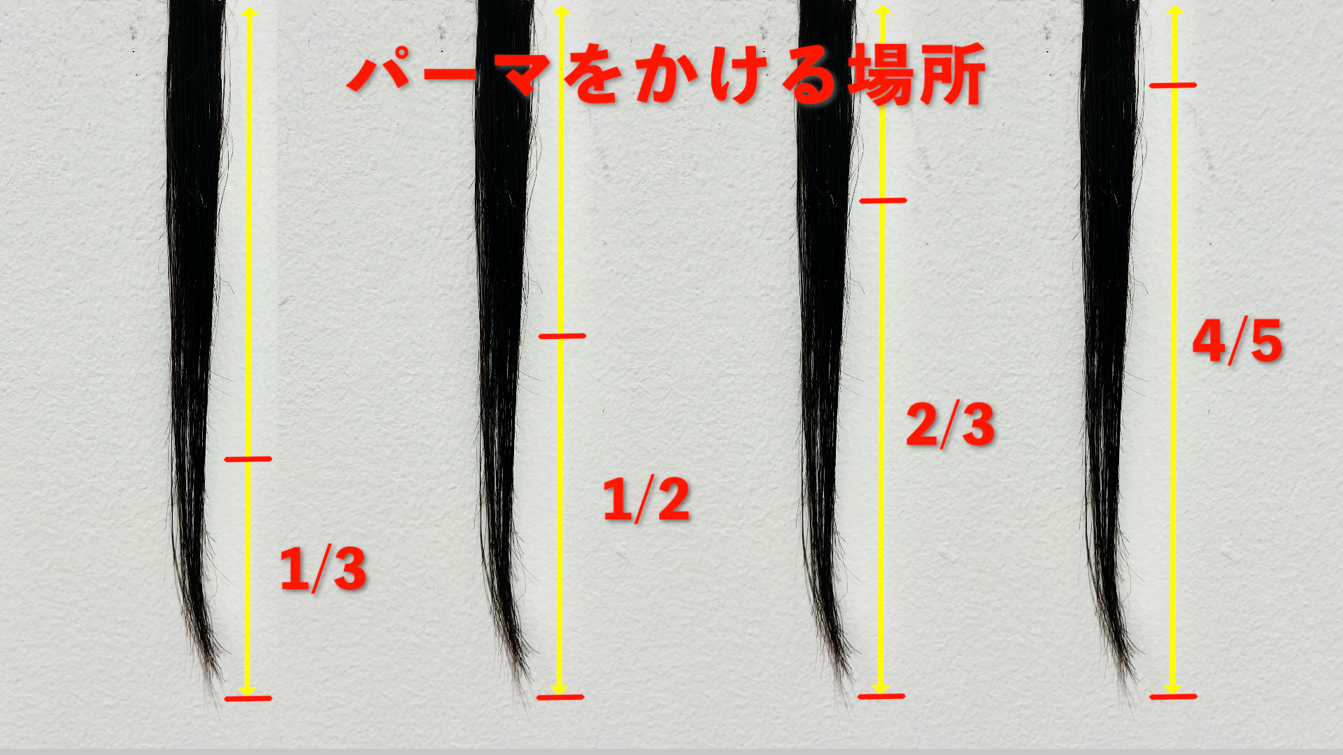 ①パーマをかける場所について