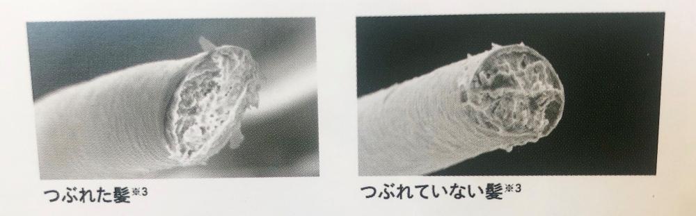 低反発コートで優しく包む