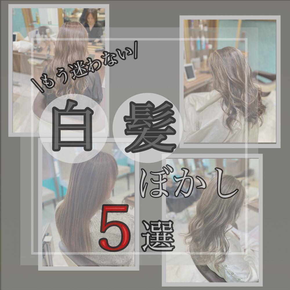 もう迷わない！「白髪ぼかし」 ～5選～