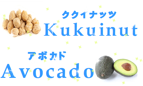 2.アボカドとククイナッツ？？