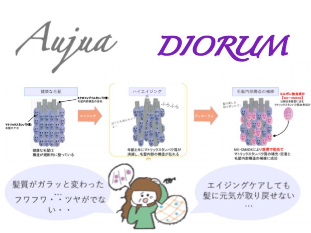 【エイジングで気になる髪の元気のなさの原因】