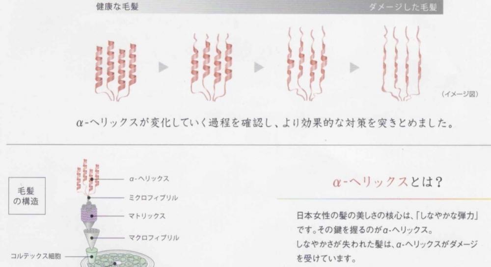 日本の先端テクノロジーで近づく生命の力と美しさ