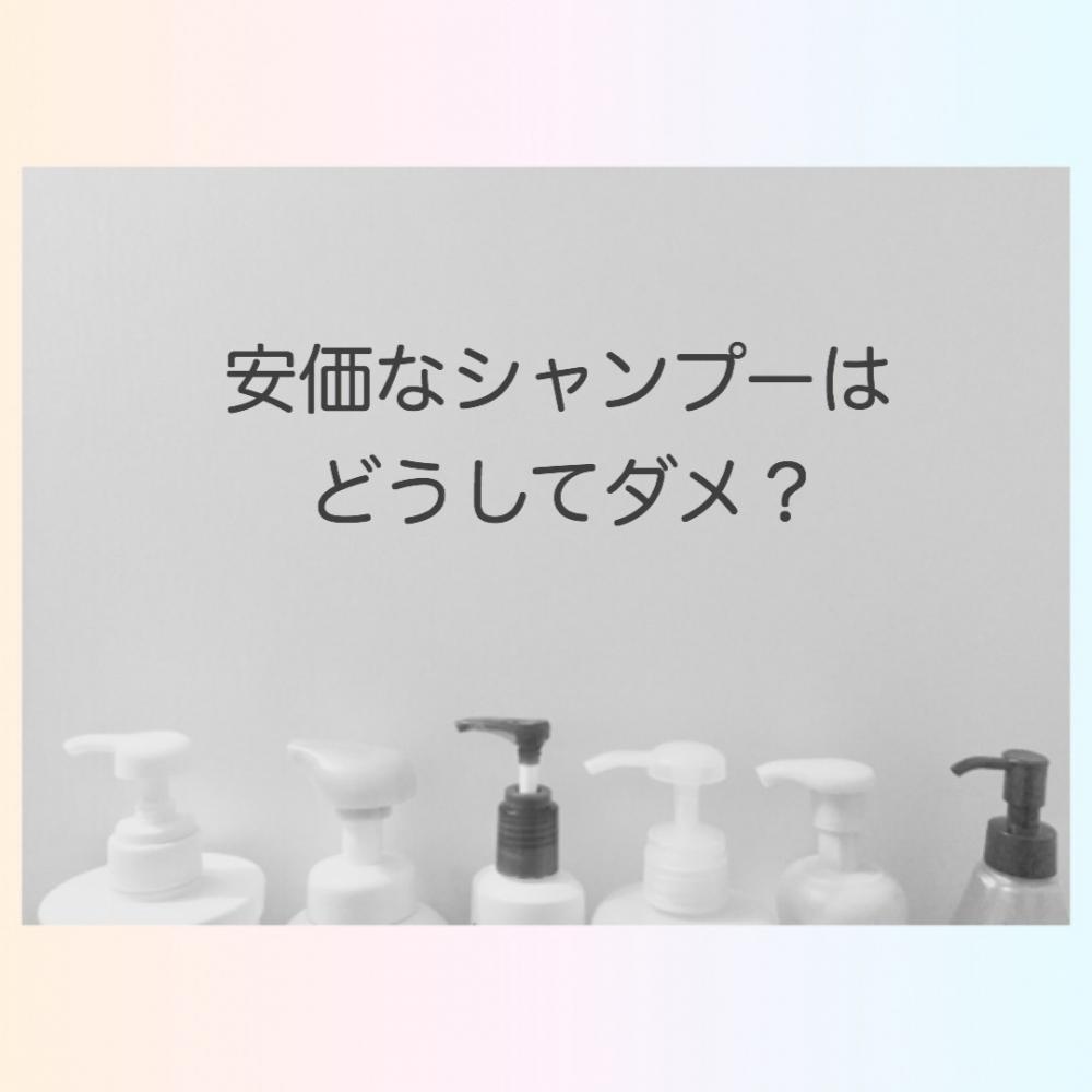 安価な普通のシャンプーで洗うと。。。