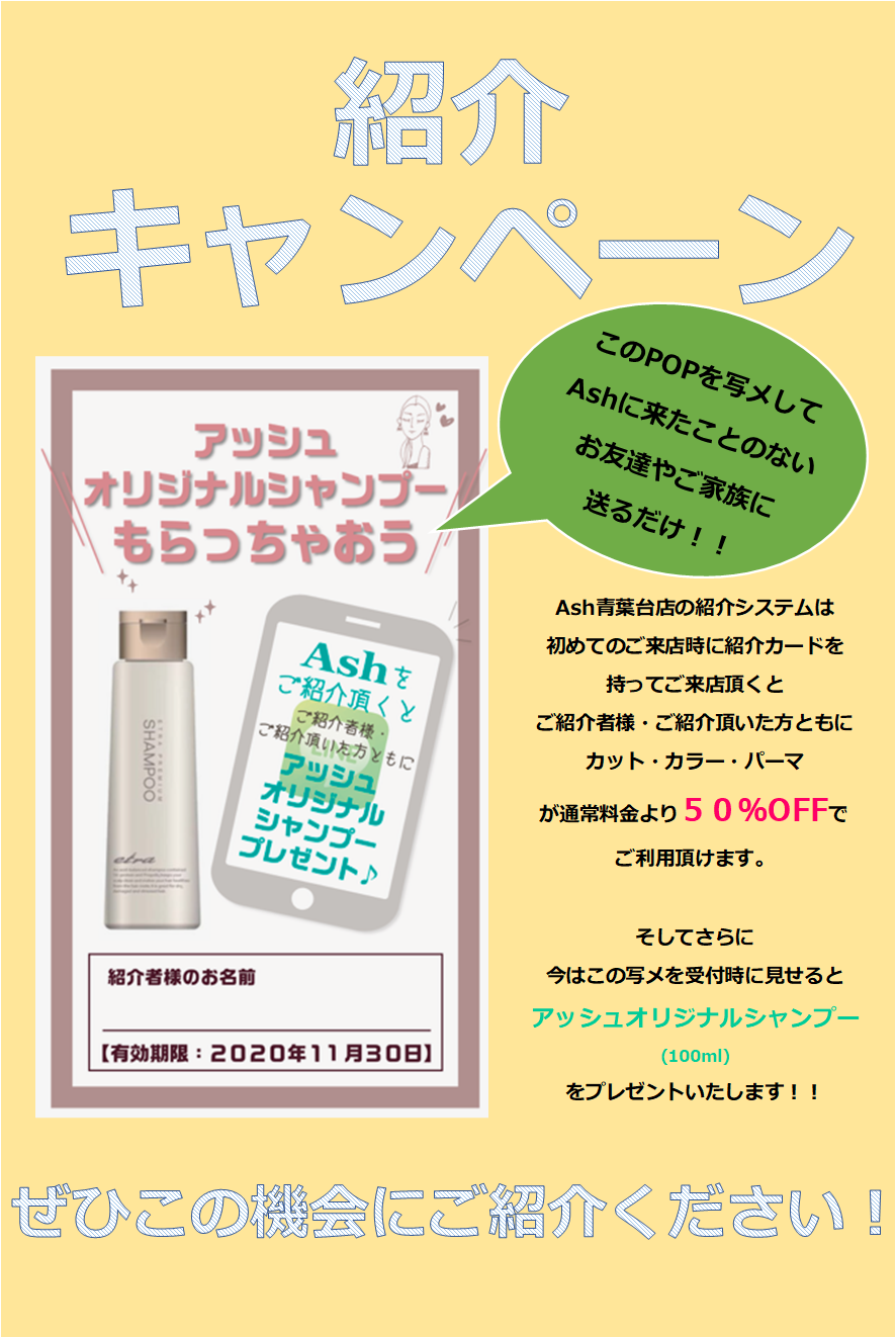 さらに今なら！シャンプーも！