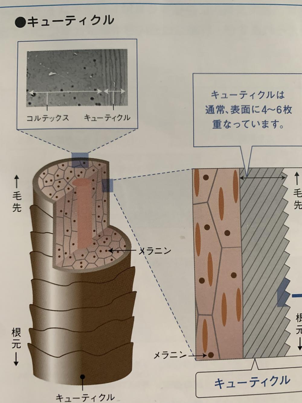 濡れたままの自然乾燥はとてもパサつく