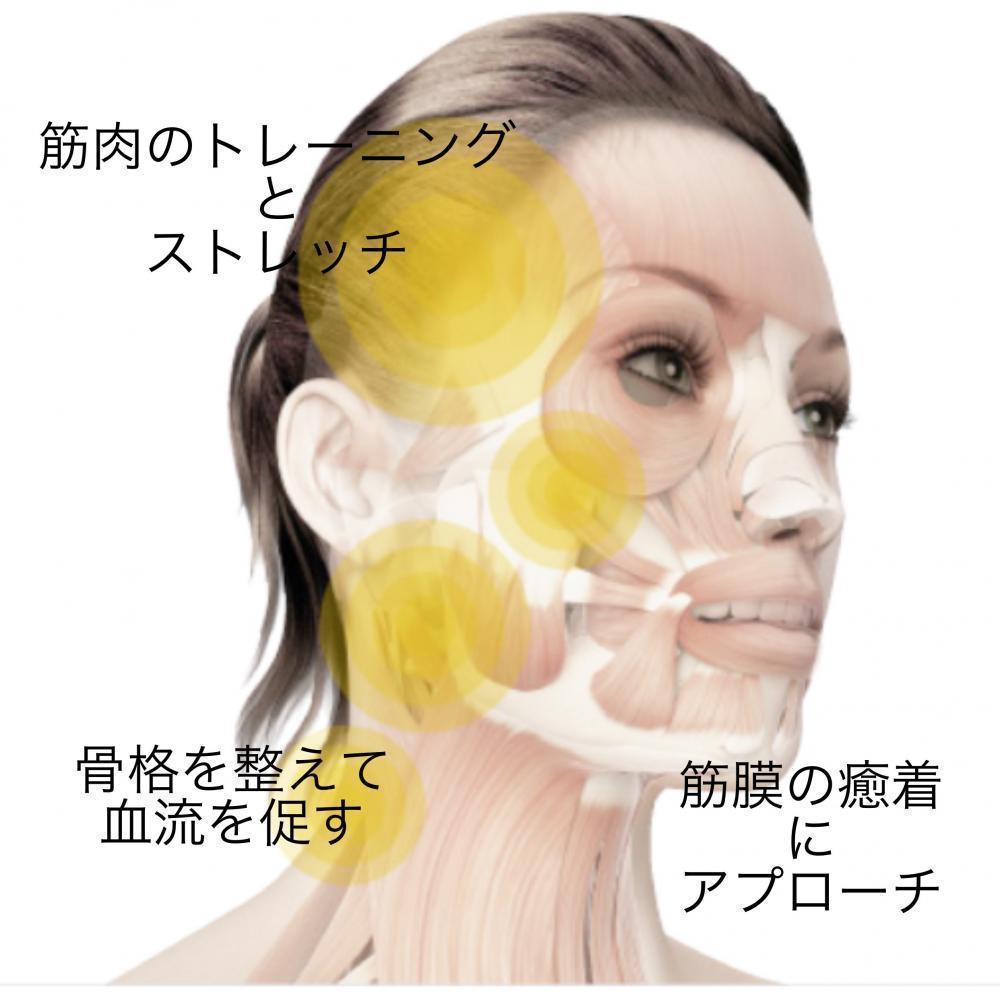 顔と身体のたるみと浮腫について