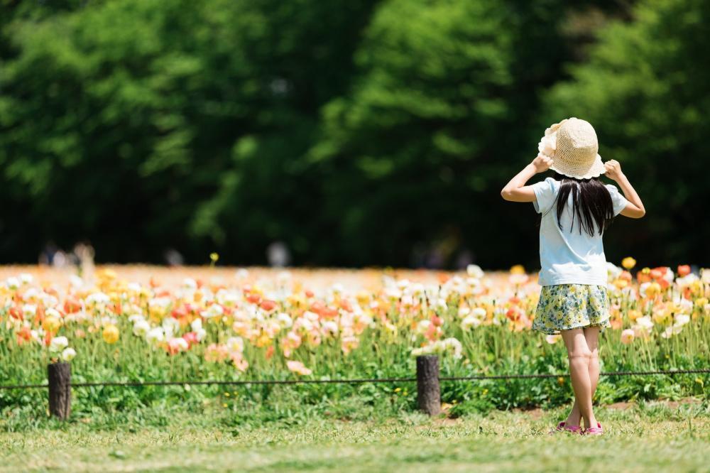 子供の髪の毛の成長