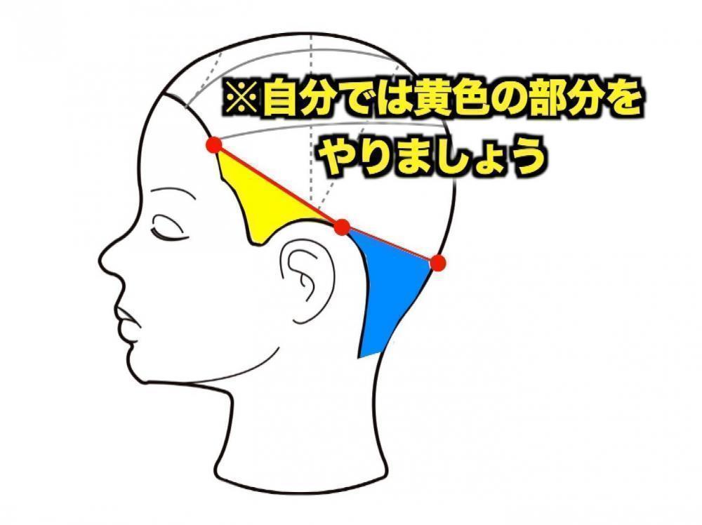 セルフ刈り上げの切る場所は？