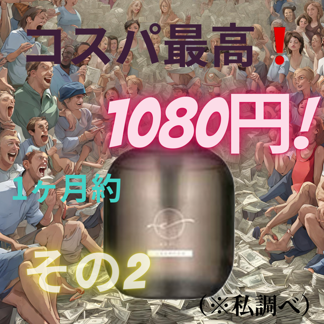 その2 コスパ最高！！1ヶ月約、1080円（私調べ）