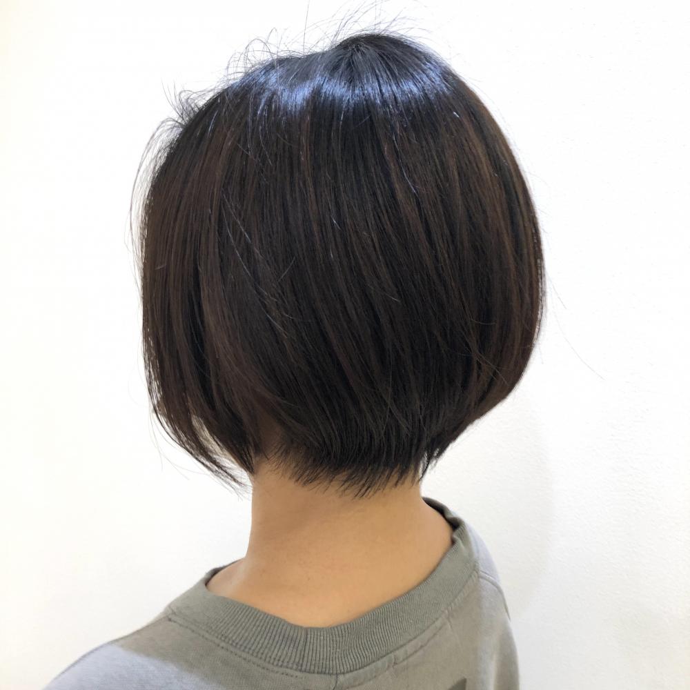 後頭部の形が良く見えます