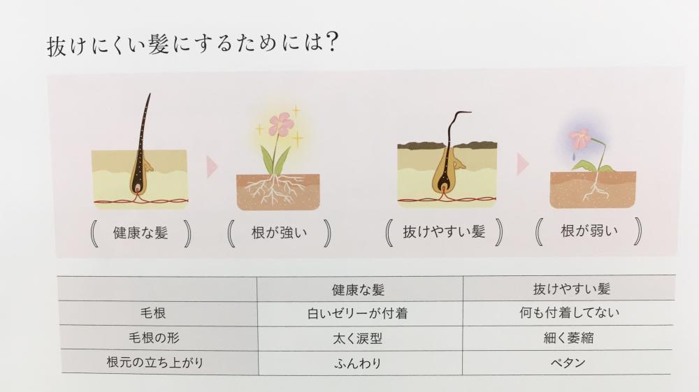 抜けにくい髪にするためには？