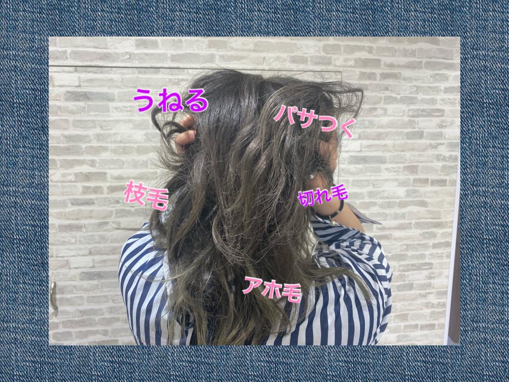 髪がサラツヤにならない理由