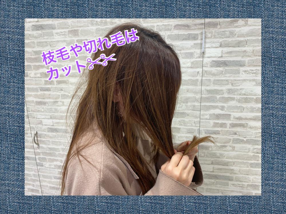 カット