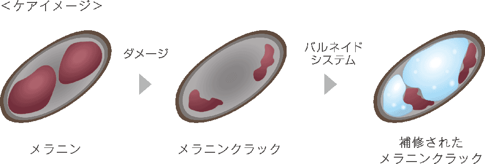 ダメージ部分だけに反応する新たなケアシステム「バルネイドシステム」システムの完成