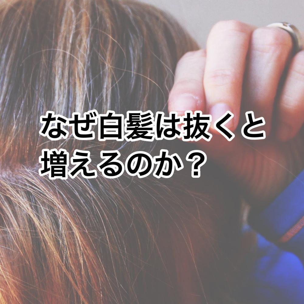なぜ白髪を抜くと増えるのか？