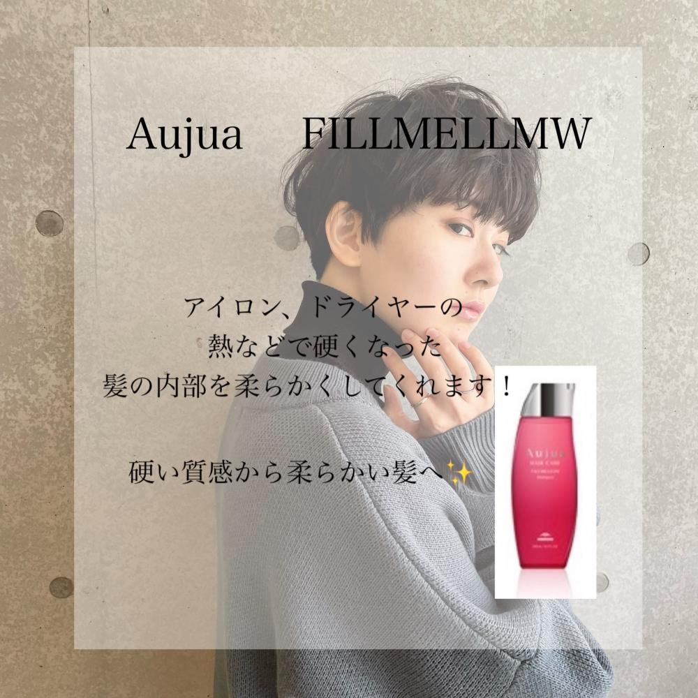 FILLMELLMW