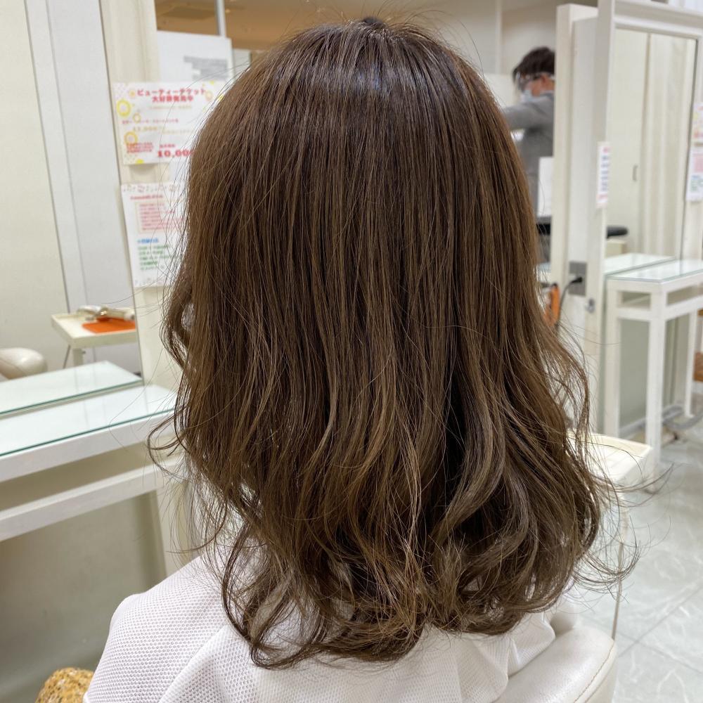 《サファリ》