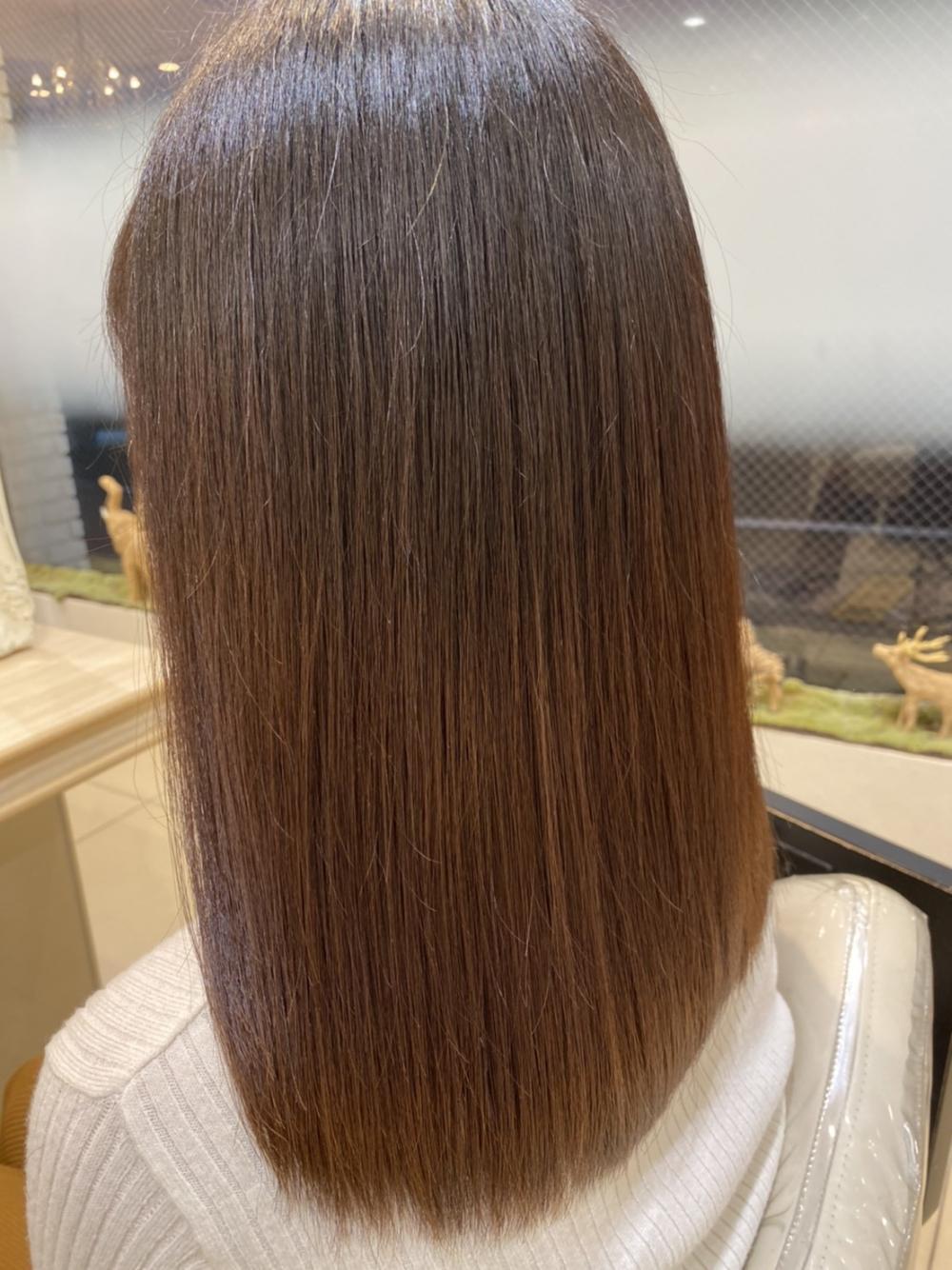 ヘアサイクルと髪の一生