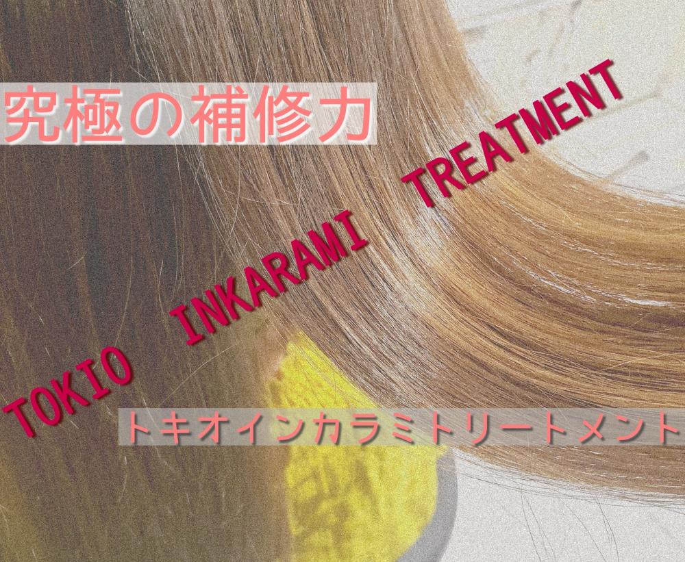 思わず触りたくなる髪に☆TOKIO INKARAMI(トキオ　インカラミ)トリートメント【ワンランク上のダメージケア】