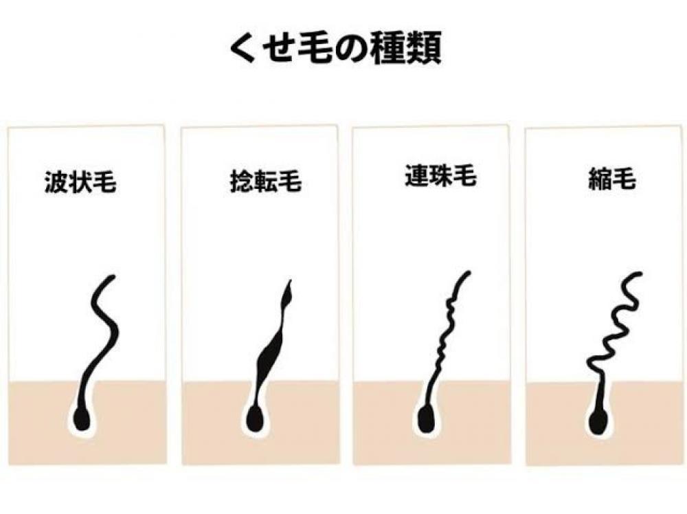 そもそも癖毛には4種類ある
