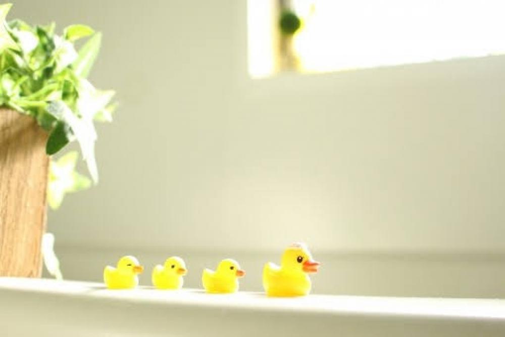 まとめ☆