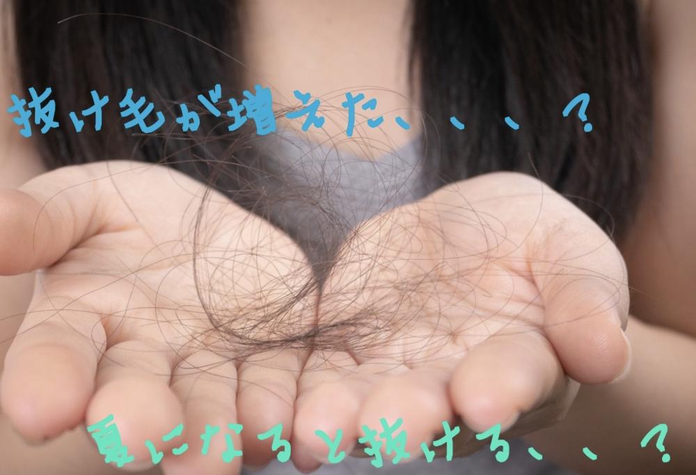 夏になると髪の毛抜ける！？