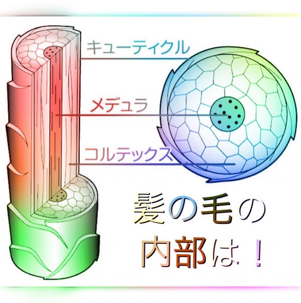髪の毛は自然治癒しない。
