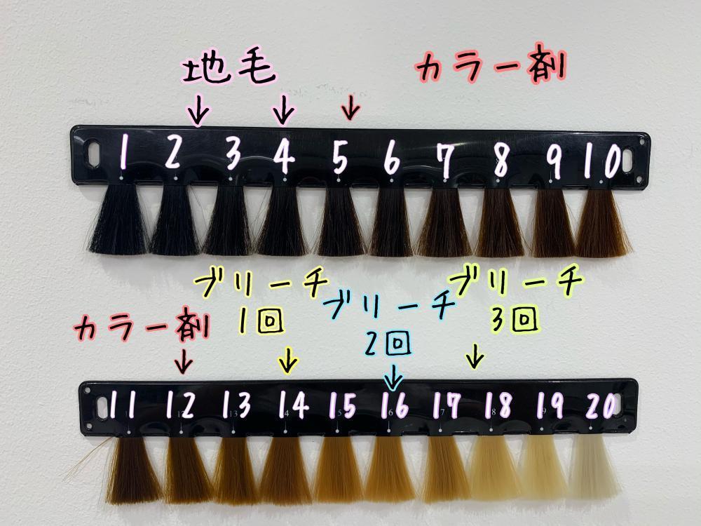 ブリーチの回数
