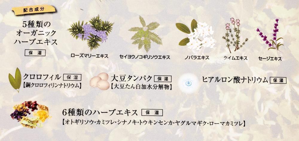 オーガニックカラーの特徴