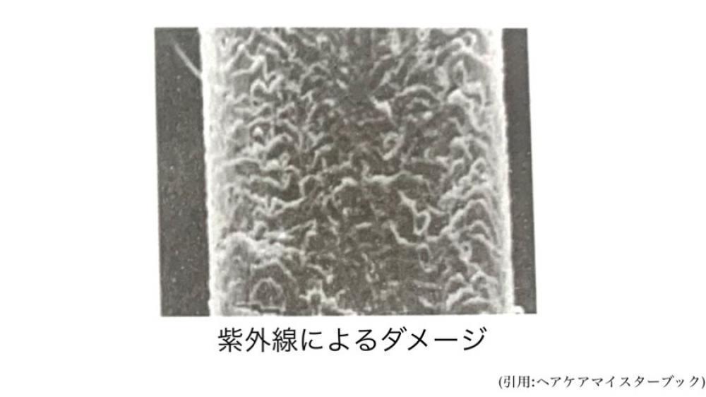 ダメージの原因②紫外線によるダメージ