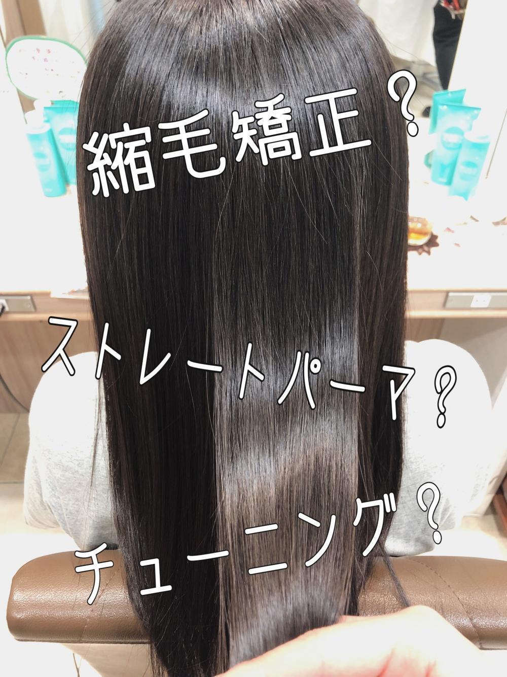 主なメインはこの３つ！
