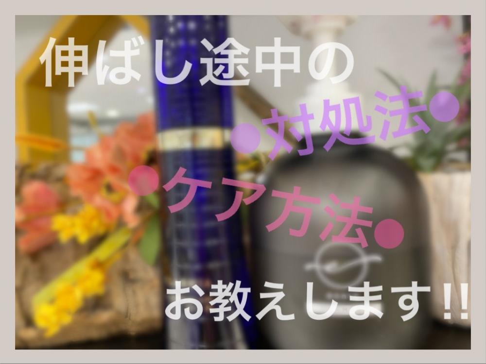 髪を伸ばしている時こそカットすべき！？伸ばし途中の対処法お教えします♪
