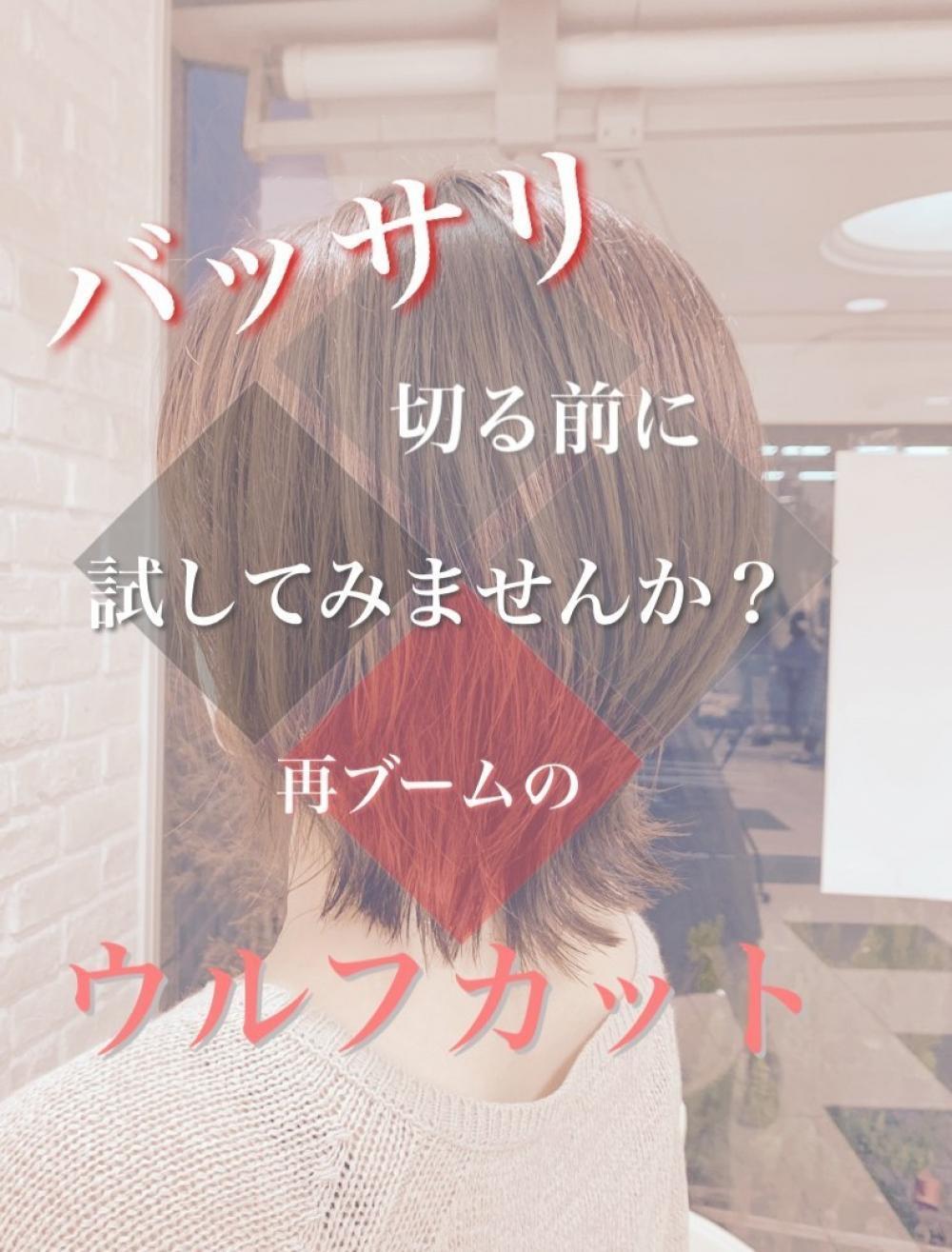 ちょっと待った【バッサリ切る前に】一度はやってみたいウルフカット