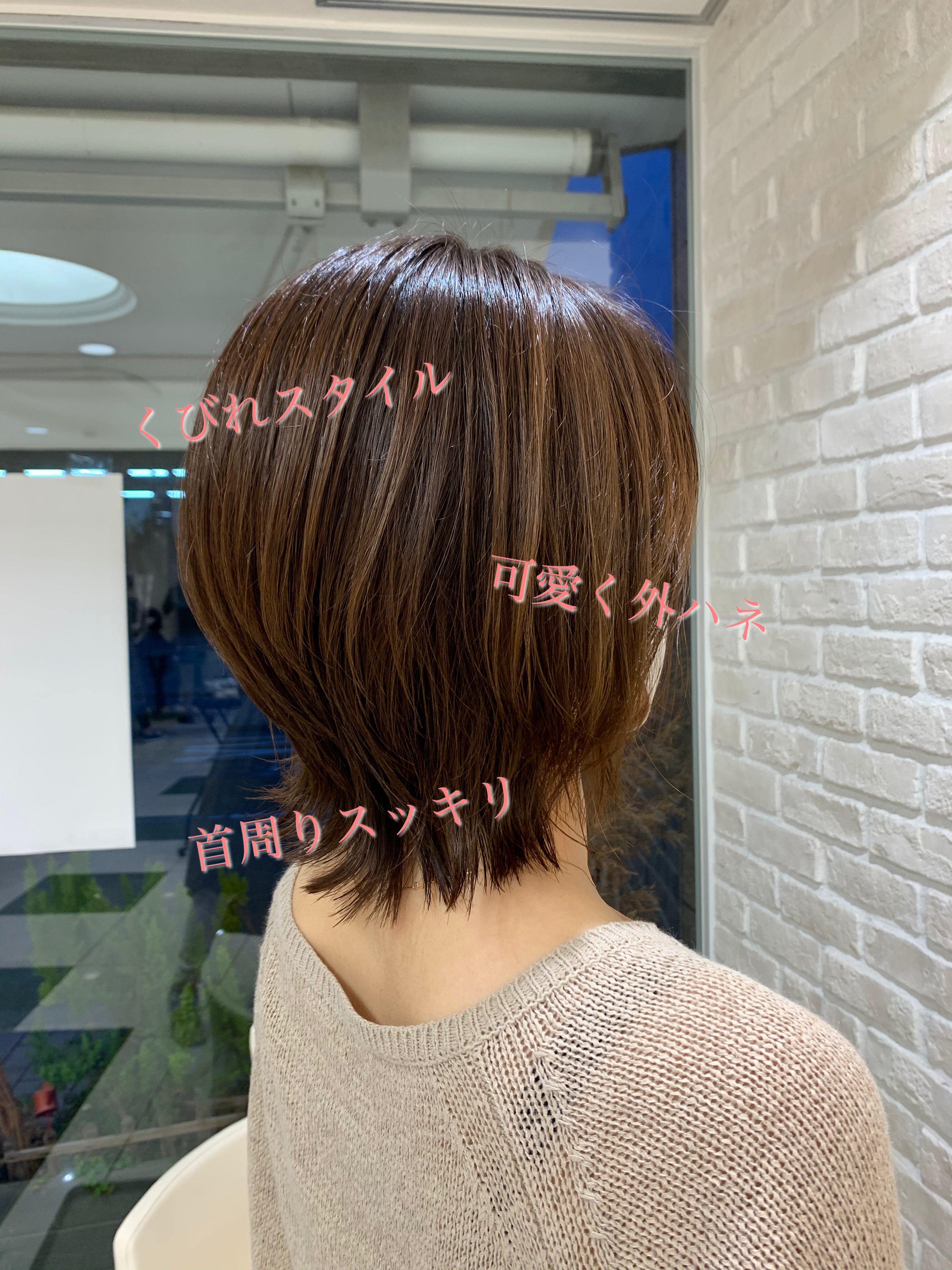 ウルフの魅力とは？