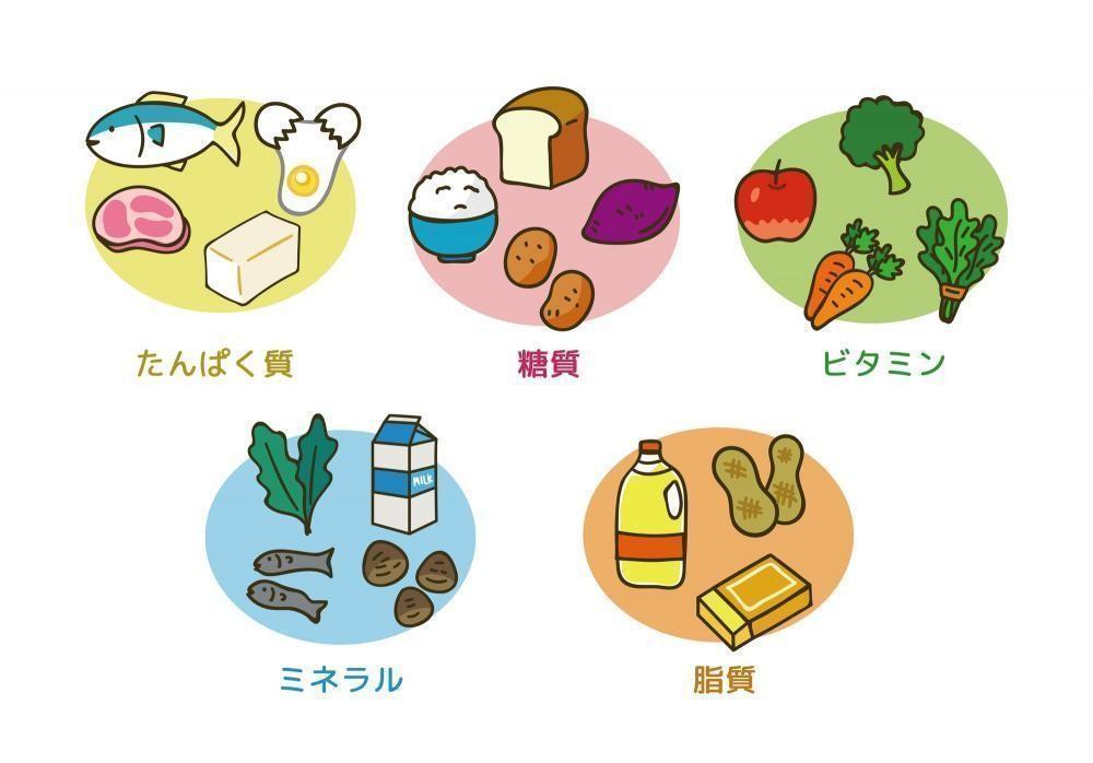 効果的な白髪対策②白髪対策に効果的な食べ物を摂る