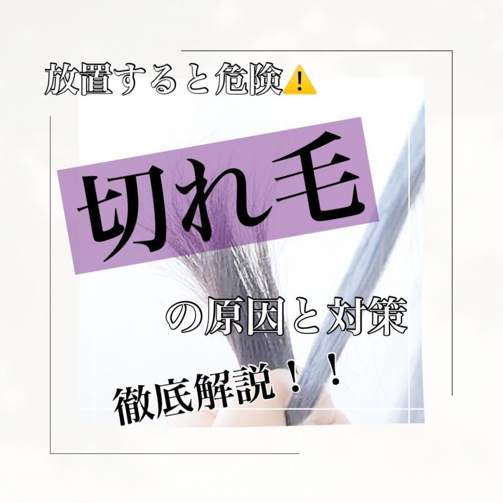放置すると危険⚠️『切れ毛』の原因と対策！！徹底解説