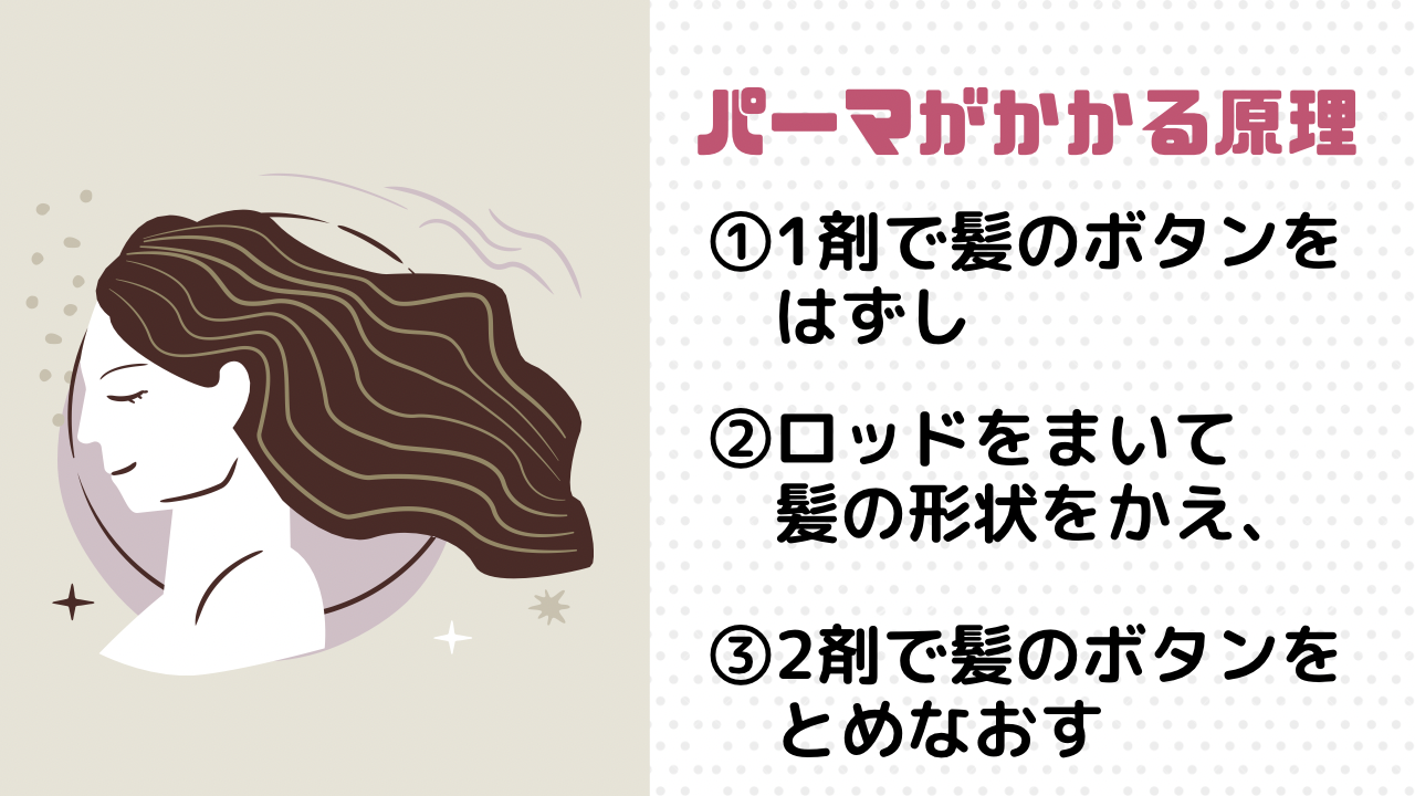 パーマがかかる原理についてのお話し