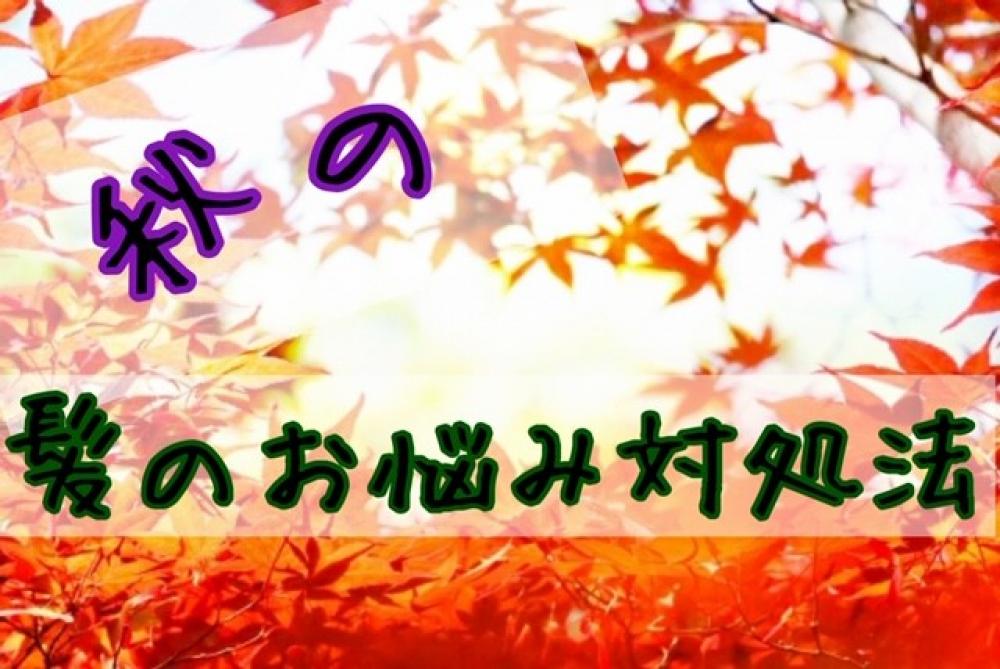 秋の髪のお悩み対処法！