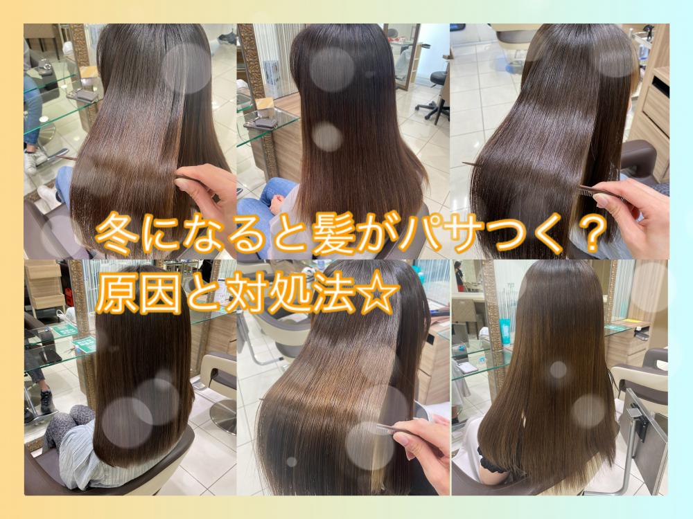冬になると髪がパサつく？原因と対処法☆