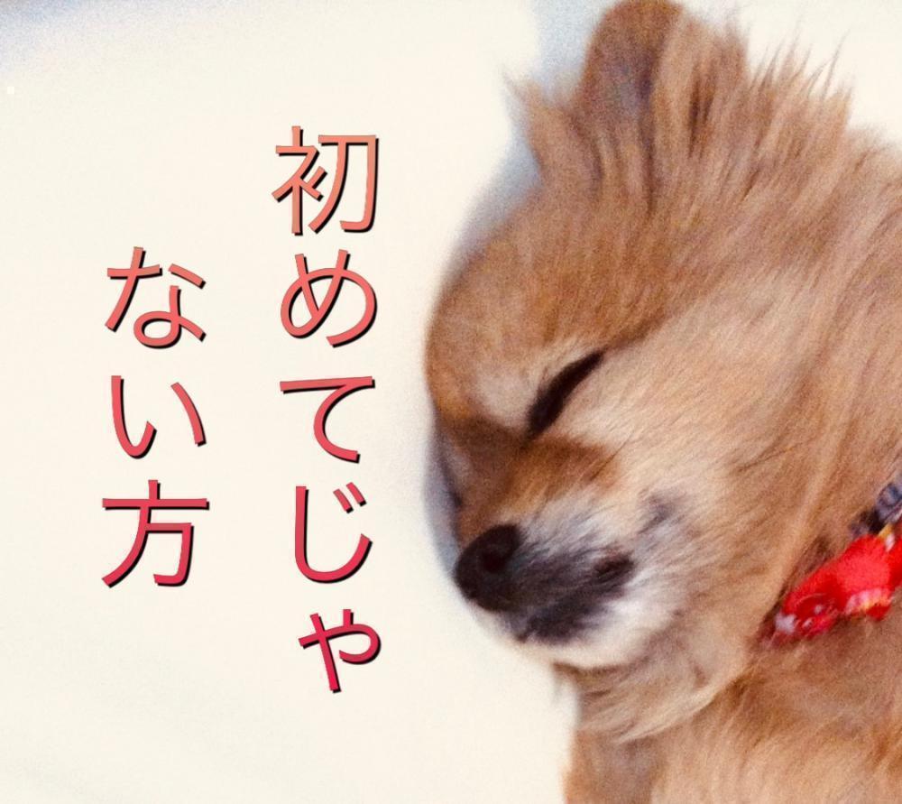 ２回目以降の方の割引順♪