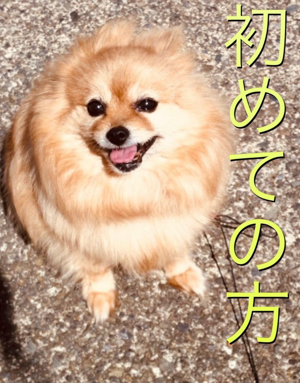 初めての方のクーポン割引順♪