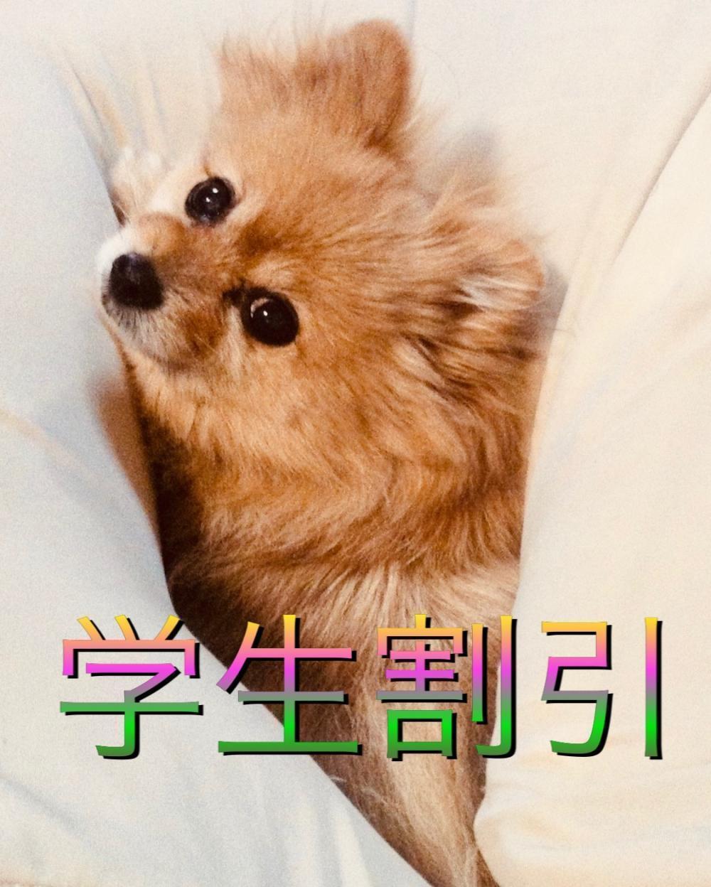 学生割引あります！！