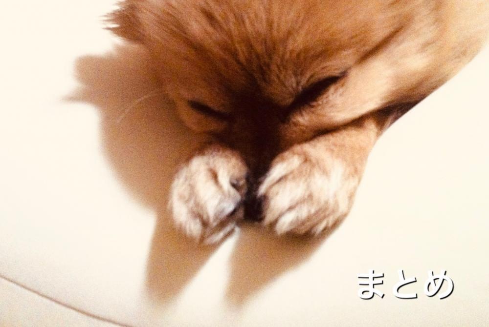 最後に…