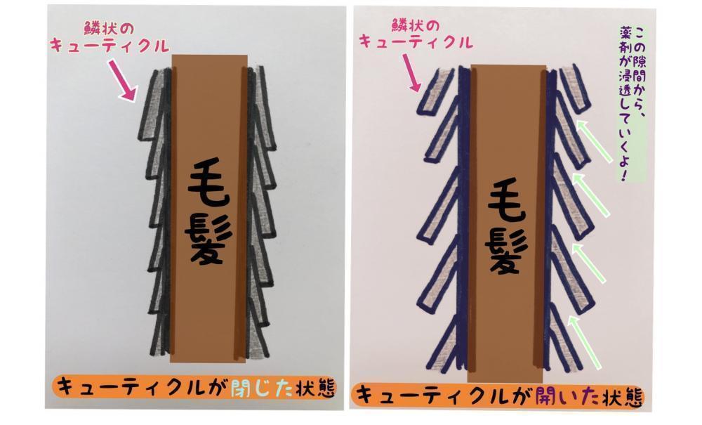 パーマをかけるデメリット