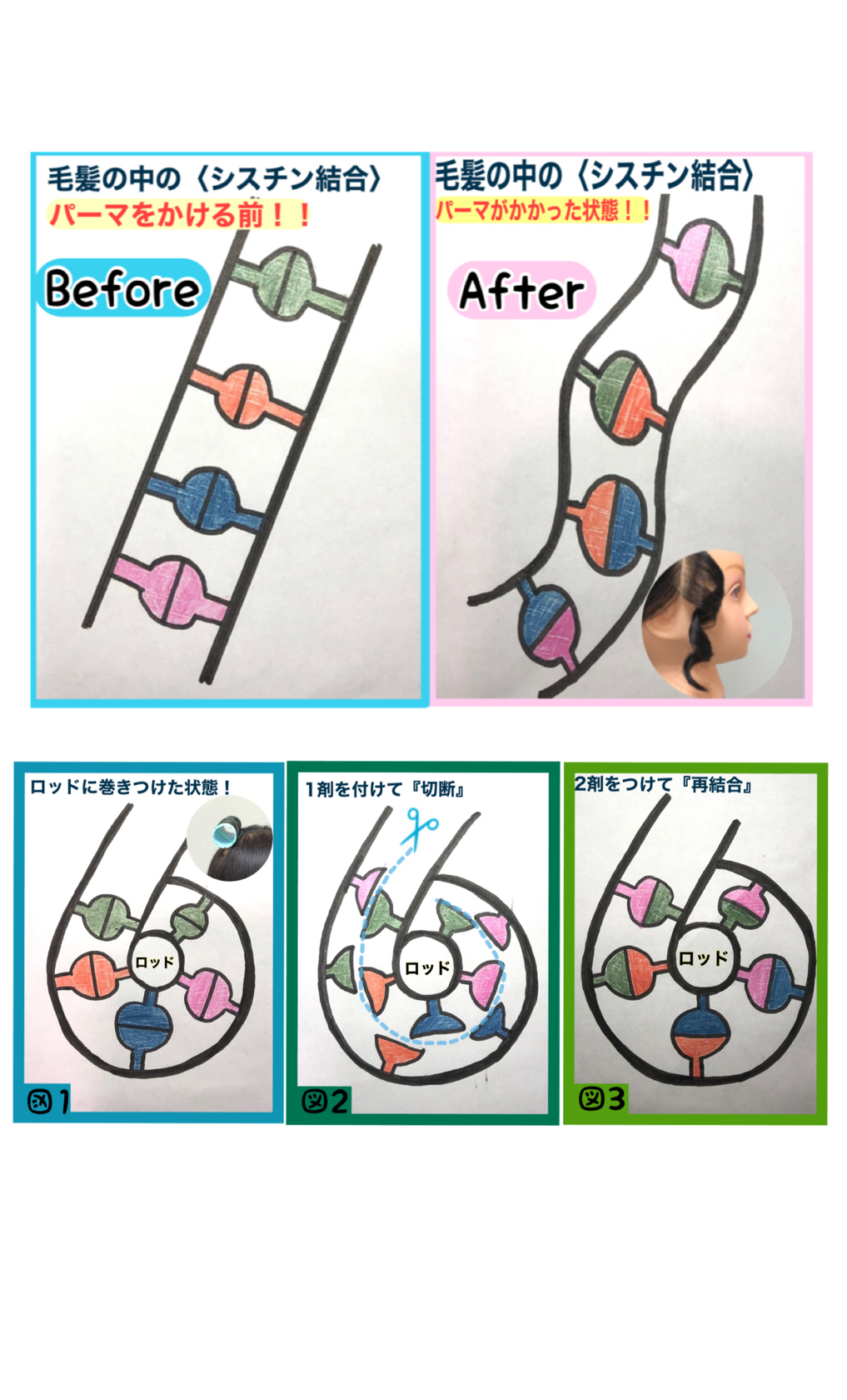 パーマのかかる原理とは