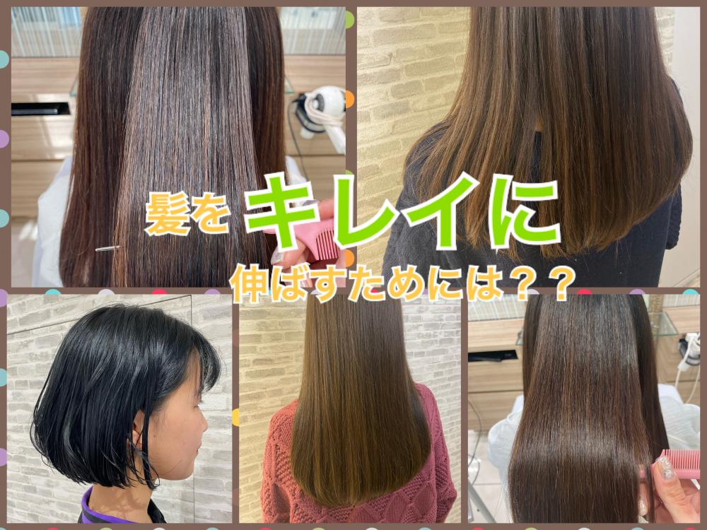 髪を《キレイに》伸ばすためには？？