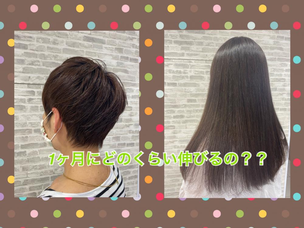 髪は1ヶ月でどのくらい伸びるの？