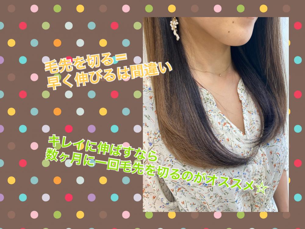 毛先を切ったほうが早く伸びる？