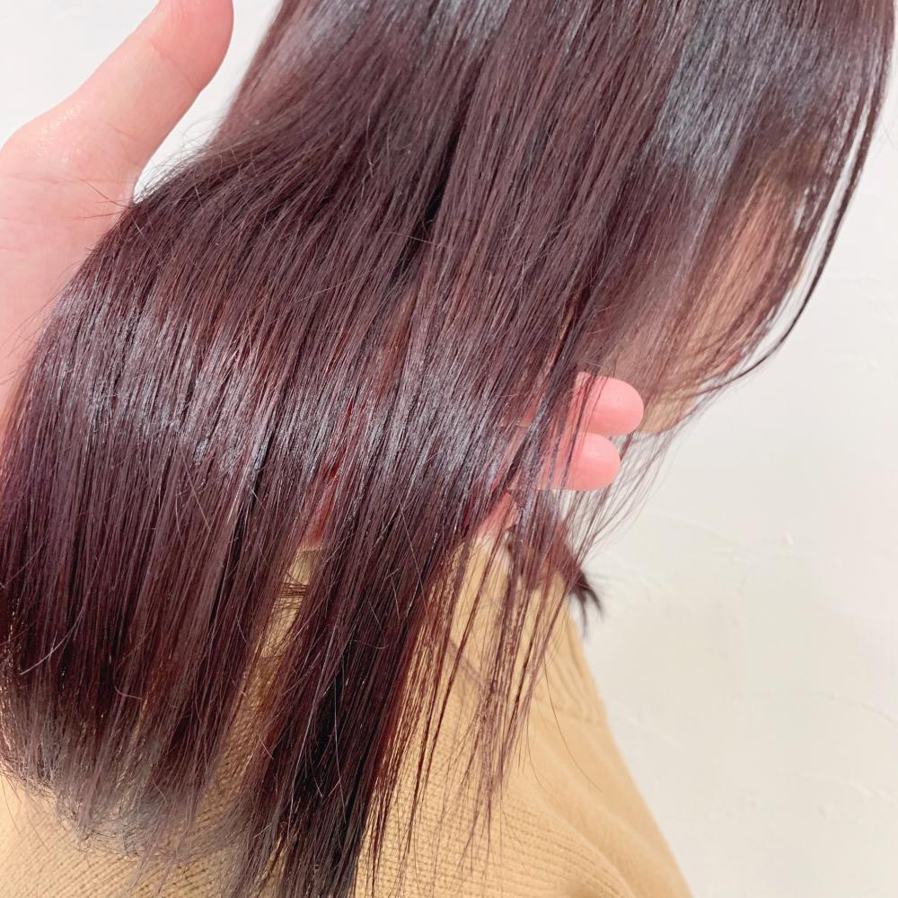 満開の花びらに包まれるチェリーピンク♡